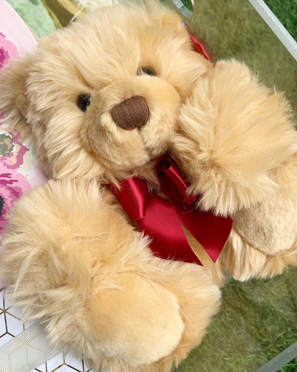 Champagne & Cuddles - Image 2